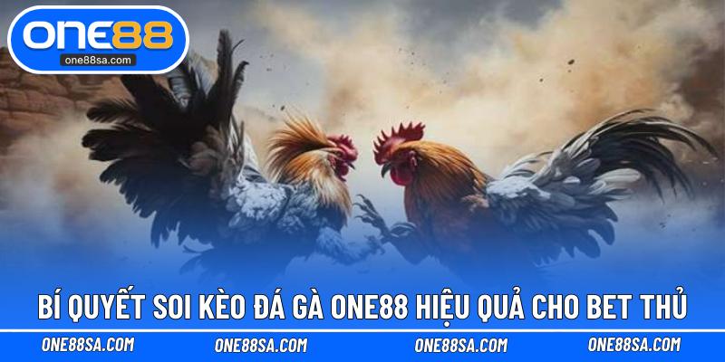 Bí quyết soi kèo đá gà ONE88 hiệu quả cho bet thủ