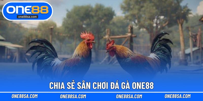 Chia sẻ sân chơi đá gà ONE88